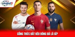 Công Thức Bắt Kèo Bóng Đá Chuẩn Xác Từ Dân Chuyên Nghiệp