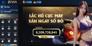 ZO88 - Nhà Cái Có Nền Móng Vững Chắc Từ Ngày Đầu Thành Lập